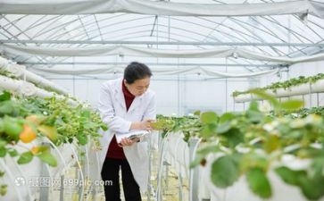 年度科研工作总结优秀6篇