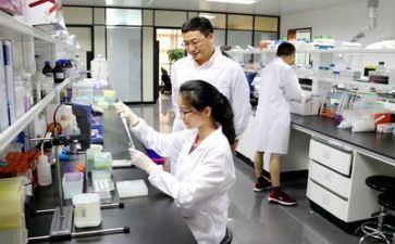 科研工作的工作总结参考6篇