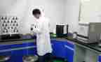个人科研工作总结模板8篇