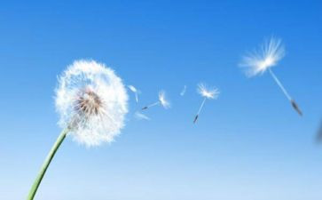 空气幼儿教案精选8篇