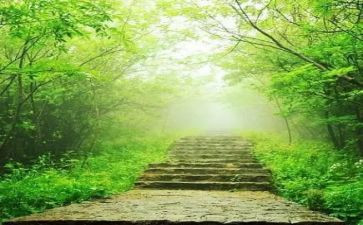班主任的苦与乐读后感精选7篇