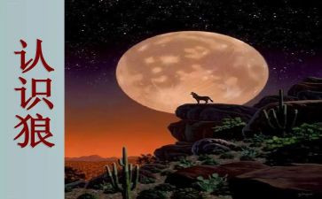 《狼》的读后感600字作文优质8篇