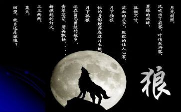 《狼王梦》读后感作文8篇