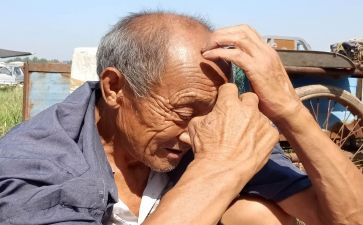 老人申请补助申请书8篇
