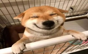 我读书我快乐450作文5篇