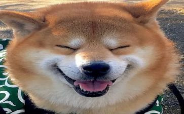 我的乐园四年级精选作文400字7篇
