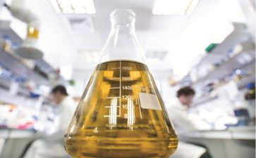 生理化组工作计划7篇