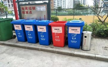 局捡垃圾活动总结8篇