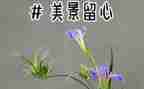 班主任经验就留心得体会优质7篇