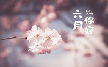 小班六月工作总结6篇