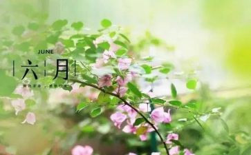 小班六月份保育工作计划7篇