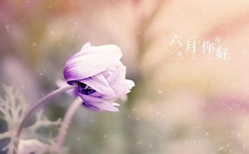 中班六月工作总结8篇