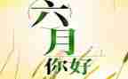 六月活动方案5篇