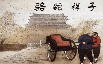 骆驼祥子卖骆驼心得体会推荐6篇
