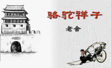 骆驼祥子卖骆驼心得体会模板7篇