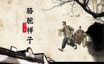 骆驼详子读后感300字7篇
