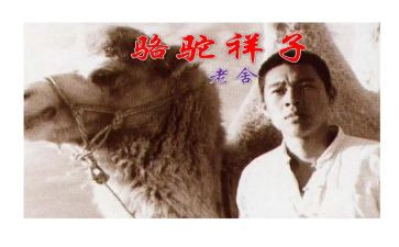 骆驼的祥子心得体会8篇