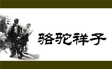读骆驼祥子的心得体会8篇
