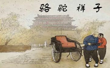 骆驼祥子卖骆驼心得体会通用8篇