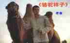 骆驼祥子读书心得体会5篇