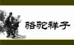 读骆驼祥子的心得体会8篇