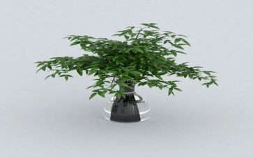 绿化校园活动总结6篇