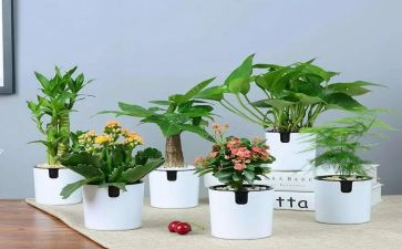 绿化工作月工作总结优秀7篇