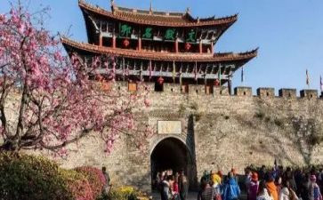 旅游社实习心得5篇
