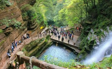 旅游管调查报告8篇