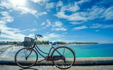 快节奏慢节奏作文8篇