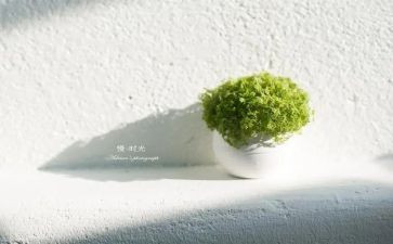 慢病工作工作总结8篇