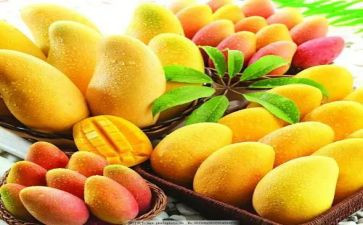吃芒果读后感6篇