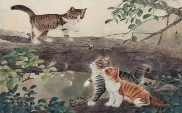 猫的一课读后感模板6篇