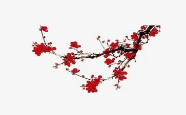 《梅花魂》教学反思8篇