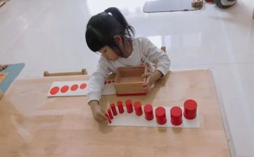 幼儿园蒙氏教育教学工作总结优质5篇
