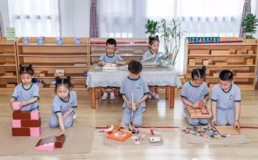 幼儿园蒙氏教育教学工作总结推荐7篇
