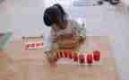 幼儿园蒙氏教育教学工作总结优质5篇