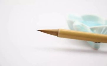 读书迷300字作文推荐7篇