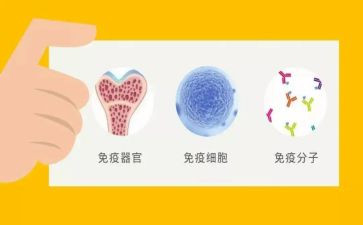 2023计划免疫工作总结5篇