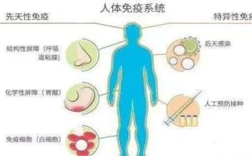 免疫日活动总结5篇