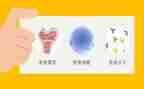 2023计划免疫工作总结5篇