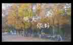 《我的明天》作文6篇