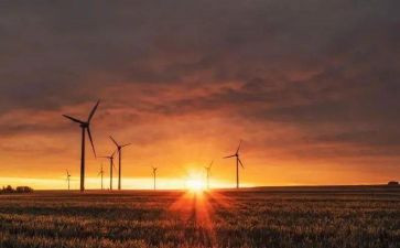 有关命运的作文最新6篇