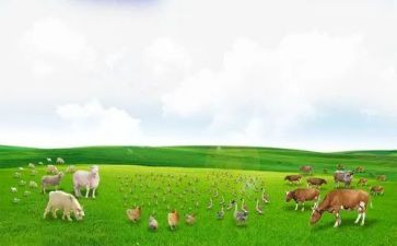 春牧场读后感5篇