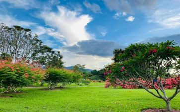 关于写耐心的作文8篇