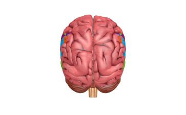 我的电脑作文优秀8篇