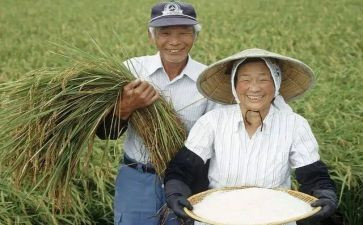农民房合同8篇