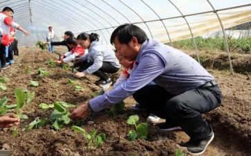 总农艺师的述职报告5篇