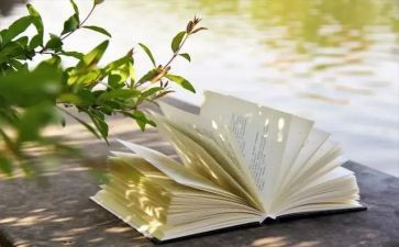 似爱之虐的作文8篇