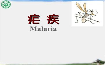 2024疟疾宣传总结5篇
